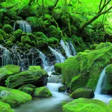 元滝伏流水