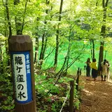 竜ヶ窪の池