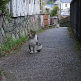 窯垣の小径資料館