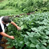 農家民宿 新助