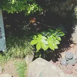 旧今井家住宅・美濃史料館