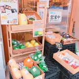 神楽坂野菜計画