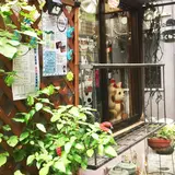 ふくねこ堂