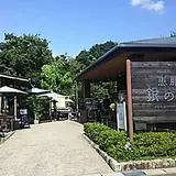 銀の森