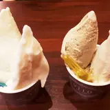 【閉店】ViTO 下北沢店 （ヴィト）