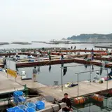 家島町坊勢５５