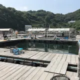 家島漁協釣堀センター