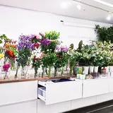 DILIGENCE PARLOUR