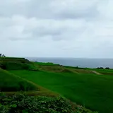 新井の棚田