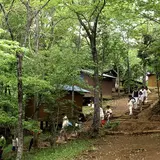 奥養老バンガロー村
