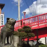 秋田犬会館