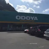 おどや鋸南店