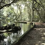 冷水の池