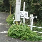 薩摩街道