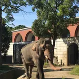 よこはま動物園ズーラシア
