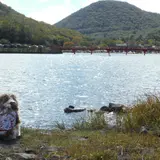 大沼