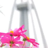 ツインアーチ１３８