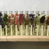 LUFF Flower&PlantsWORKS