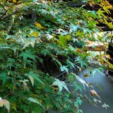 途中の川沿いの道