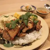 ノムカフェ