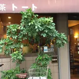 喫茶トート