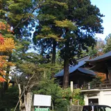若松寺