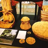 d47 MUSEUM
