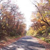 地獄谷遊歩道