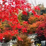 永源寺