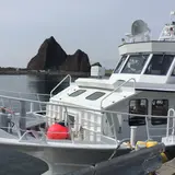 ゴジラ岩観光