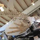 知床国立公園羅臼ビジターセンター
