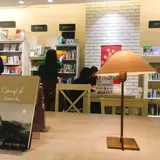H.I.S.旅と本と珈琲と Omotesando（表参道）