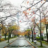 山谷堀公園