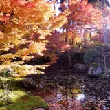 即宗院