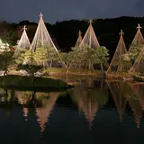 白鳥庭園