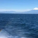 駿河湾フェリー土肥港のりば