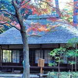 蘆花恒春園