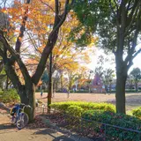 祖師谷公園