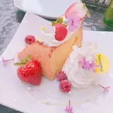 ラストシフォン （Last chiffon）
