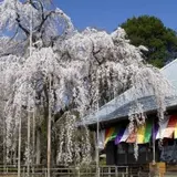 慈眼寺