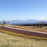 くじゅう花公園