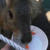 愛知牧場