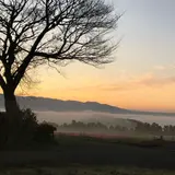 雲海