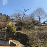 城山公園