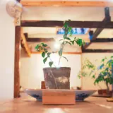 ホステルアンドサロン saruya