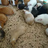 井の頭自然文化園 本園