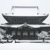 高田本山専修寺