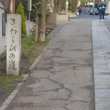 さわらびの道