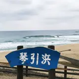 琴引浜