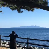雛の館 むかい庵